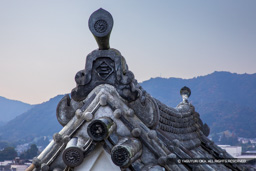 畳櫓・稲葉家家紋・鬼瓦 | 高解像度画像サイズ：6402 x 4268 pixels | 写真番号：5D4A5705 | 撮影：Canon EOS 5D Mark IV