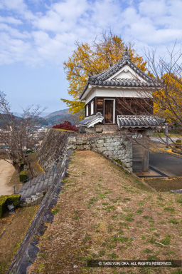 大門櫓・紅葉 | 高解像度画像サイズ：4480 x 6720 pixels | 写真番号：5D4A5726 | 撮影：Canon EOS 5D Mark IV