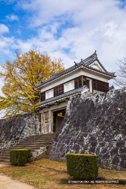 大門櫓・紅葉 | 高解像度画像サイズ：4480 x 6720 pixels | 写真番号：5D4A5733 | 撮影：Canon EOS 5D Mark IV
