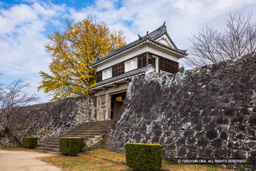 大門櫓・紅葉 | 高解像度画像サイズ：6720 x 4480 pixels | 写真番号：5D4A5735 | 撮影：Canon EOS 5D Mark IV