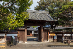 旧臼杵藩主稲葉家下屋敷 | 高解像度画像サイズ：6720 x 4480 pixels | 写真番号：5D4A5751 | 撮影：Canon EOS 5D Mark IV