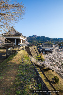 大門櫓・井楼櫓跡・畳櫓・桜 | 高解像度画像サイズ：5421 x 8127 pixels | 写真番号：6F1A5407 | 撮影：Canon EOS R5m2