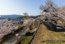 二の丸帯曲輪・大門櫓・桜 | 高解像度画像サイズ：8054 x 5372 pixels | 写真番号：6F1A5424 | 撮影：Canon EOS R5m2