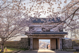 大門櫓の情景 | 高解像度画像サイズ：8192 x 5464 pixels | 写真番号：6F1A5432 | 撮影：Canon EOS R5m2