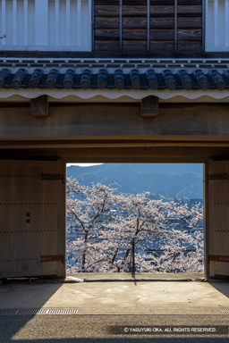 大門櫓の情景・桜 | 高解像度画像サイズ:5464 x 8192 pixels | 写真番号:6F1A5436 | 撮影:Canon EOS R5m2
