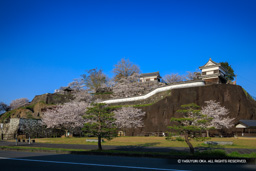 亭櫓跡・時鐘櫓跡・大門櫓・畳櫓・桜 | 高解像度画像サイズ：7411 x 4943 pixels | 写真番号：6F1A5471 | 撮影：Canon EOS R5m2
