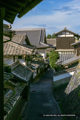 二王座歴史の道・旧真光寺 | 高解像度画像サイズ：3234 x 4850 pixels | 写真番号：VJ7Z8984 | 撮影：Canon EOS-1Ds Mark II