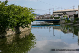 万年溪 | 高解像度画像サイズ:4807 x 3205 pixels | 写真番号:VJ7Z9247 | 撮影:Canon EOS-1Ds Mark II