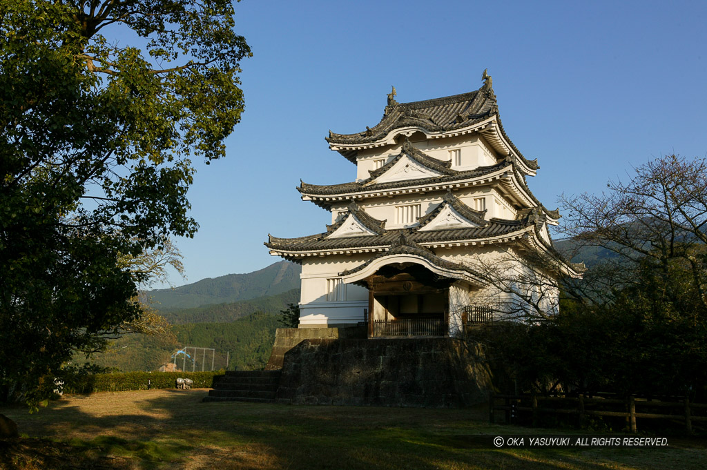 宇和島城天守北面2004年撮影・左手に楠の大木