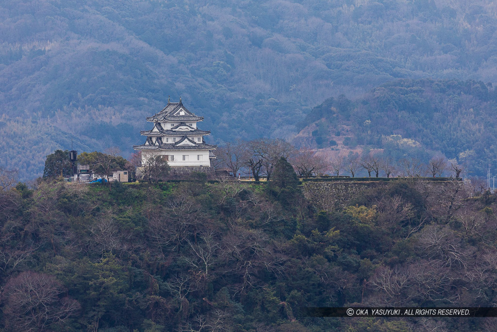 丸山公園から望む宇和島城