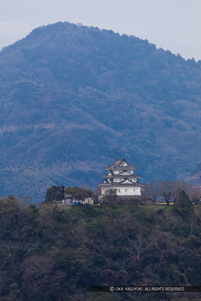 丸山公園から望む宇和島城