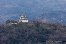 丸山公園から望む宇和島城｜高解像度画像サイズ：6110 x 4080 pixels｜写真番号：5D4A6615｜撮影：Canon EOS 5D Mark IV