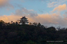 宇和島城の朝｜高解像度画像サイズ：6720 x 4480 pixels｜写真番号：5D4A6757｜撮影：Canon EOS 5D Mark IV