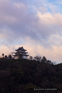 宇和島城の朝｜高解像度画像サイズ：4480 x 6720 pixels｜写真番号：5D4A6776｜撮影：Canon EOS 5D Mark IV