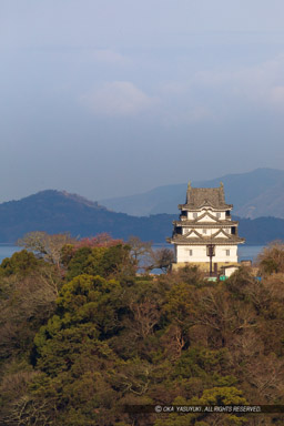 愛宕公園から望む宇和島城と宇和島湾｜高解像度画像サイズ：4379 x 6569 pixels｜写真番号：5D4A6838｜撮影：Canon EOS 5D Mark IV