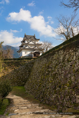 宇和島城本丸東面石垣と天守｜高解像度画像サイズ：4480 x 6720 pixels｜写真番号：5D4A7350｜撮影：Canon EOS 5D Mark IV