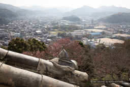 宇和島城天守の桃瓦｜高解像度画像サイズ：6720 x 4480 pixels｜写真番号：5D4A7271｜撮影：Canon EOS 5D Mark IV