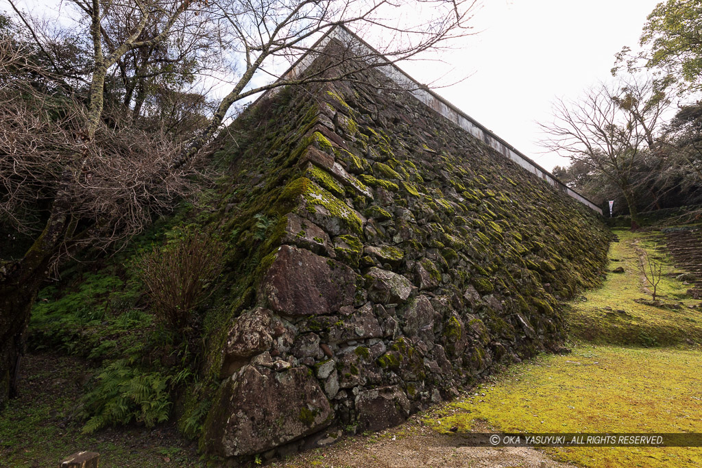 宇和島城の藤兵衛丸石垣