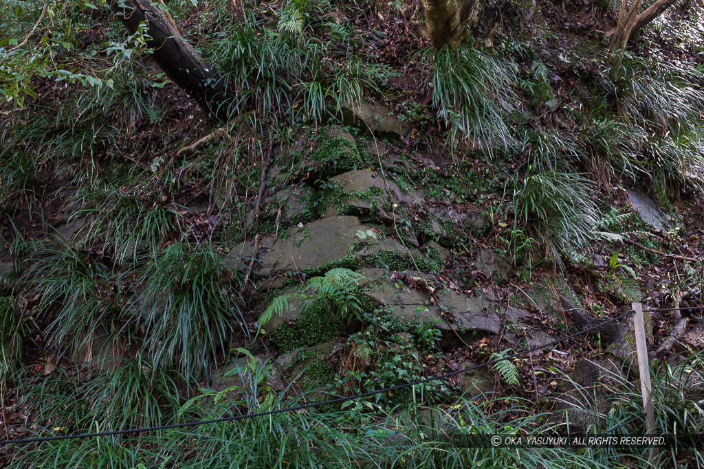 宇和島城の苔むす石垣