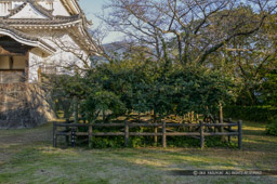 宇和島城本丸の井戸跡｜高解像度画像サイズ：3949 x 2627 pixels｜写真番号：53BS9011｜撮影：Canon EOS-1DS