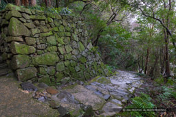 宇和島城井戸丸石垣と登城路｜高解像度画像サイズ：6492 x 4328 pixels｜写真番号：5D4A6638｜撮影：Canon EOS 5D Mark IV