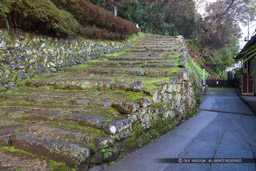 宇和島城三の丸からの登城路|高解像度画像サイズ:6720 x 4480 pixels|写真番号:5D4A6809|撮影:Canon EOS 5D Mark IV