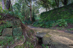 宇和島城の上立門からの登城路と排水路|高解像度画像サイズ:6720 x 4480 pixels|写真番号:5D4A6887|撮影:Canon EOS 5D Mark IV