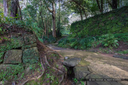 宇和島城の上立門からの登城路と排水路｜高解像度画像サイズ：6720 x 4480 pixels｜写真番号：5D4A6887｜撮影：Canon EOS 5D Mark IV