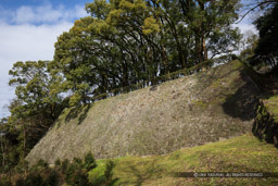 宇和島城の伝右衛門丸石垣|高解像度画像サイズ:6720 x 4480 pixels|写真番号:5D4A6916|撮影:Canon EOS 5D Mark IV