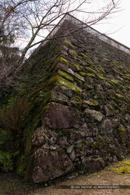 宇和島城の藤兵衛丸石垣｜高解像度画像サイズ：4480 x 6720 pixels｜写真番号：5D4A6926｜撮影：Canon EOS 5D Mark IV