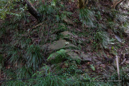 宇和島城の苔むす石垣|高解像度画像サイズ:6720 x 4480 pixels|写真番号:5D4A6931|撮影:Canon EOS 5D Mark IV