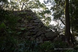 宇和島城の石垣風景|高解像度画像サイズ:6720 x 4480 pixels|写真番号:5D4A6932|撮影:Canon EOS 5D Mark IV