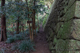 宇和島城石垣の小径・長門丸石垣｜高解像度画像サイズ：6045 x 4030 pixels｜写真番号：5D4A6965｜撮影：Canon EOS 5D Mark IV