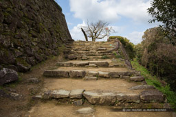 宇和島城二之御門跡｜高解像度画像サイズ：6720 x 4480 pixels｜写真番号：5D4A6996｜撮影：Canon EOS 5D Mark IV