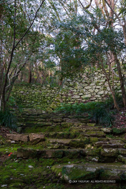 宇和島城井戸丸石垣と登城路｜高解像度画像サイズ：4326 x 6500 pixels｜写真番号：5D4A7466｜撮影：Canon EOS 5D Mark IV