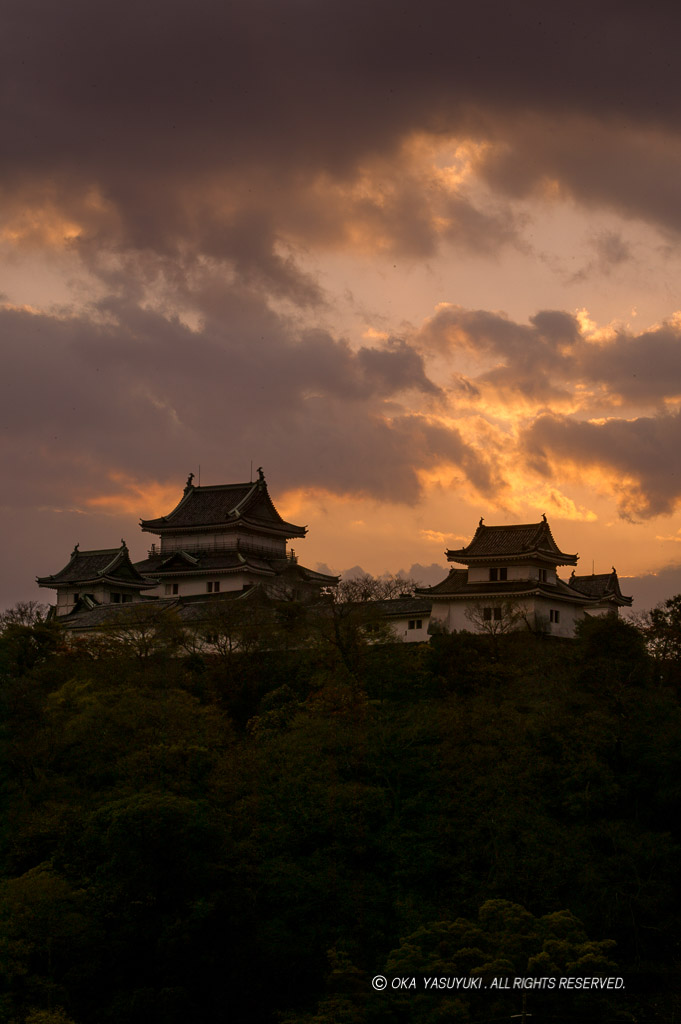 和歌山城と朝日