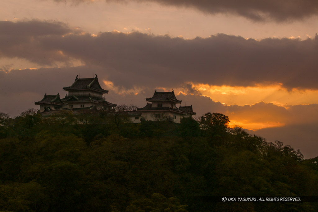 和歌山城と朝日