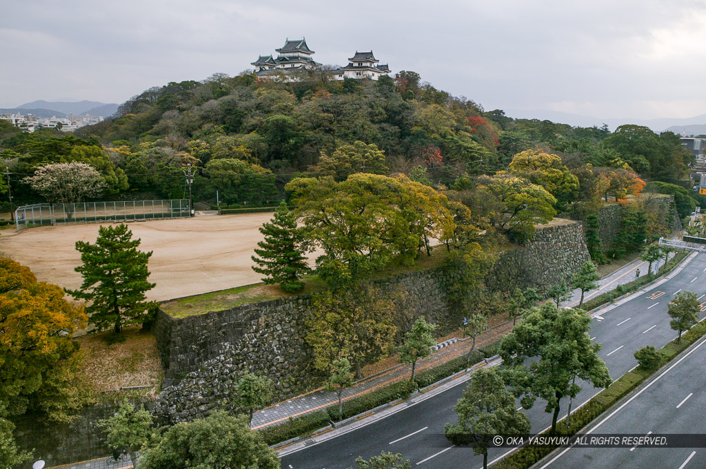西側から望む和歌山城
