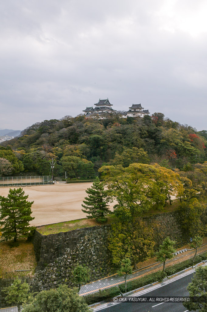 西側から望む和歌山城