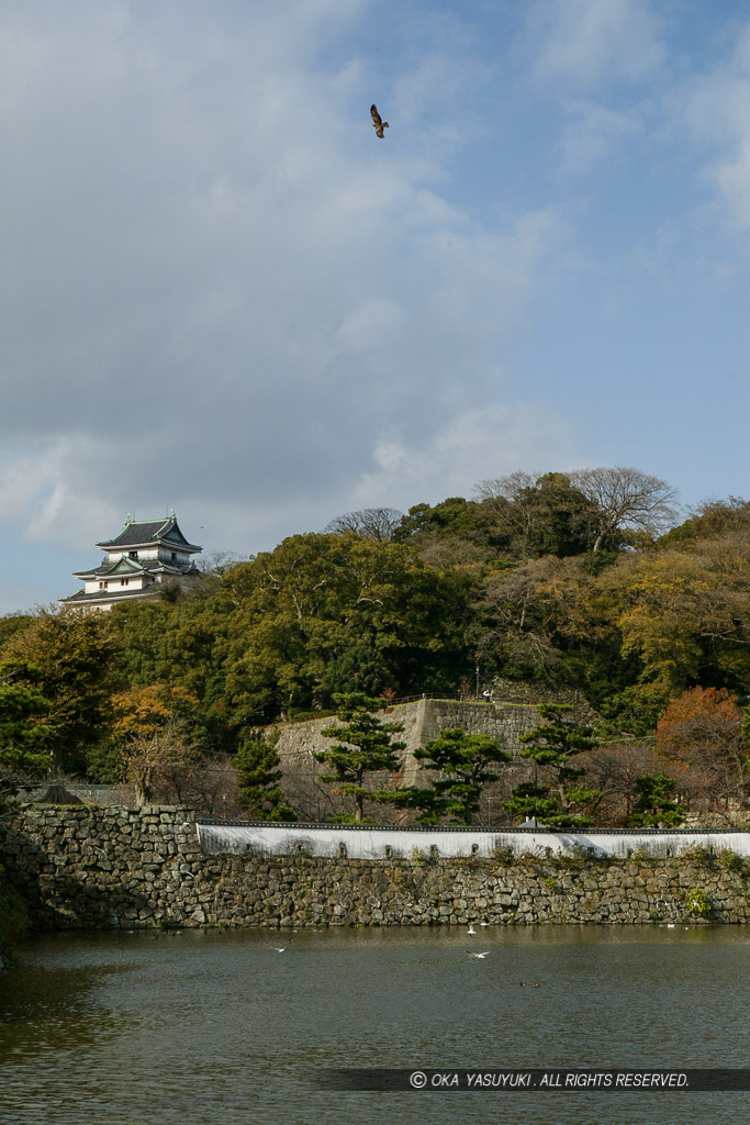 東堀から望む和歌山城