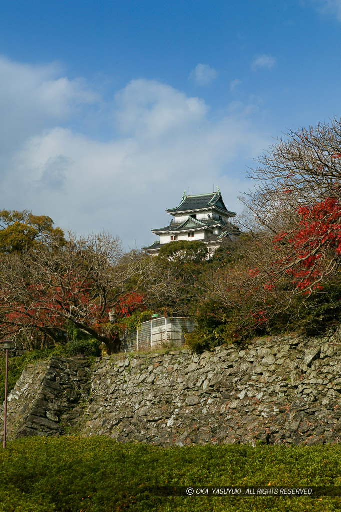 和歌山城の秋