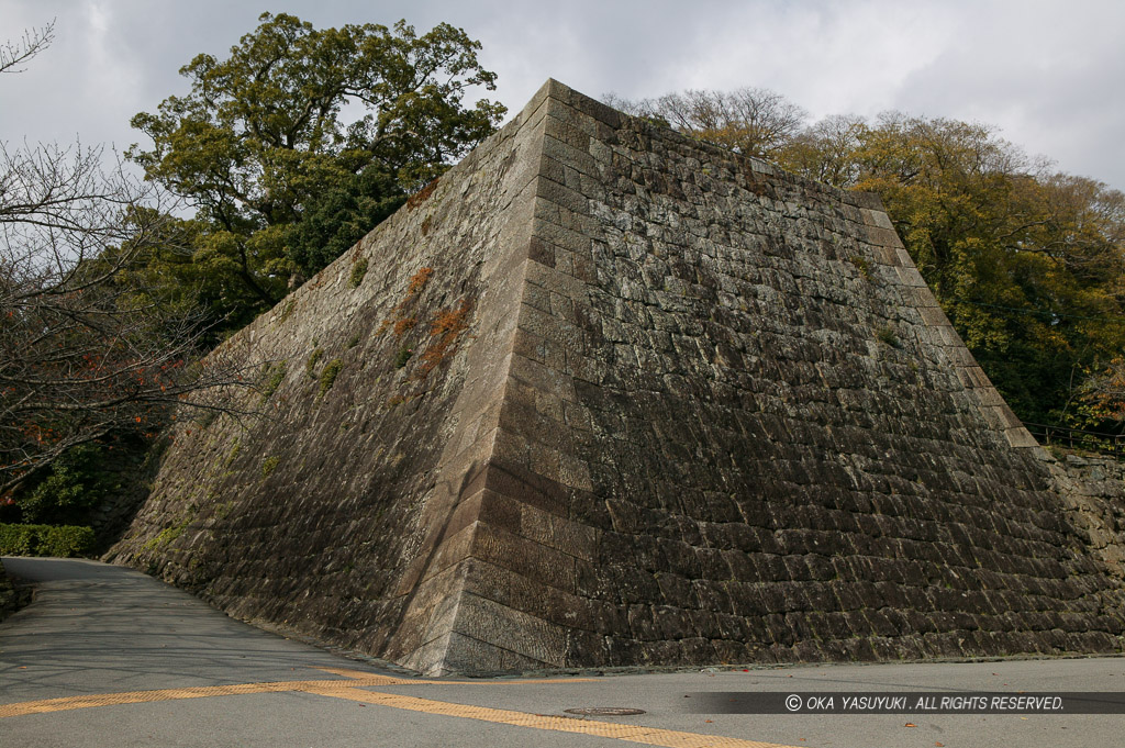 和歌山城松の丸高櫓台高石垣