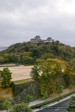 西側から望む和歌山城｜高解像度画像サイズ：2681 x 4029 pixels｜写真番号：100-7550S53B｜撮影：Canon EOS-1DS