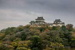和歌山城天守曲輪を見る｜高解像度画像サイズ：4064 x 2704 pixels｜写真番号：100-7552S53B｜撮影：Canon EOS-1DS