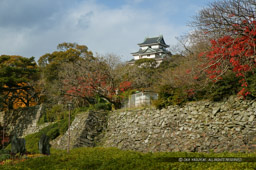 和歌山城の秋｜高解像度画像サイズ：4064 x 2704 pixels｜写真番号：100-7656S53B｜撮影：Canon EOS-1DS