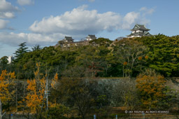 和歌山城の秋｜高解像度画像サイズ：4064 x 2704 pixels｜写真番号：100-7767S53B｜撮影：Canon EOS-1DS