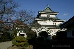 和歌山城天守・曲輪内から｜高解像度画像サイズ：4064 x 2704 pixels｜写真番号：100-7844S53B｜撮影：Canon EOS-1DS