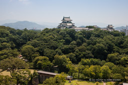 本丸御殿跡・天守曲輪・御橋廊下｜高解像度画像サイズ：5190 x 3460 pixels｜写真番号：1P3J4176｜撮影：Canon EOS-1Ds Mark III