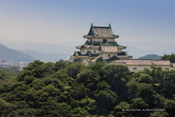 和歌山市役所14階レストランから和歌山城｜高解像度画像サイズ：5154 x 3436 pixels｜写真番号：1P3J4179｜撮影：Canon EOS-1Ds Mark III