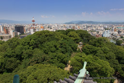 和歌山城本丸御殿跡|高解像度画像サイズ:5297 x 3531 pixels|写真番号:1P3J4329|撮影:Canon EOS-1Ds Mark III